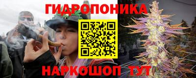 ПСИЛОЦИБИНОВЫЕ ГРИБЫ Белореченск